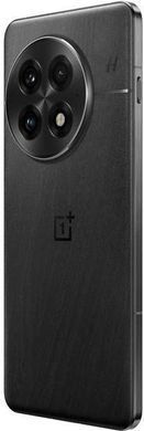 OnePlus 13 16/512Gb (Black) CN